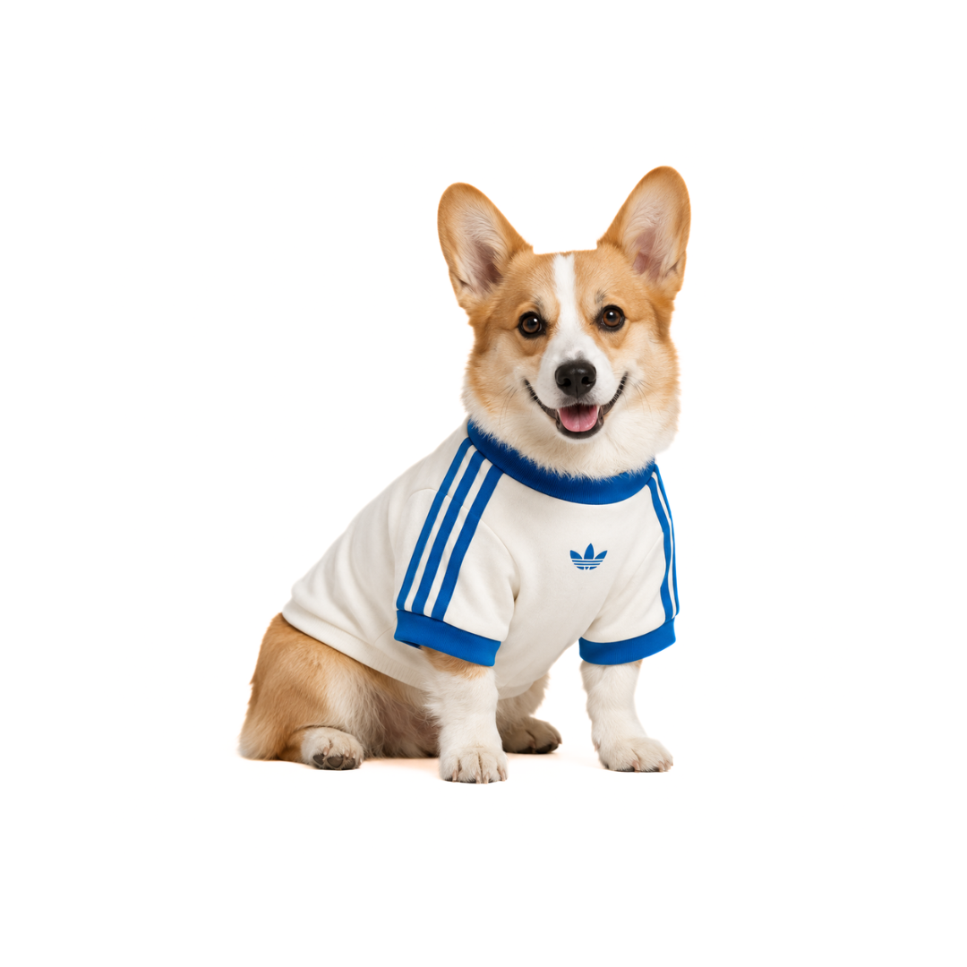ADIDAS PET CALI TEE Off White Blue Bird by ADIDAS