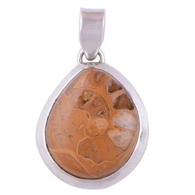 ammonite 925 Sterling Silver Pendant - R100229-6