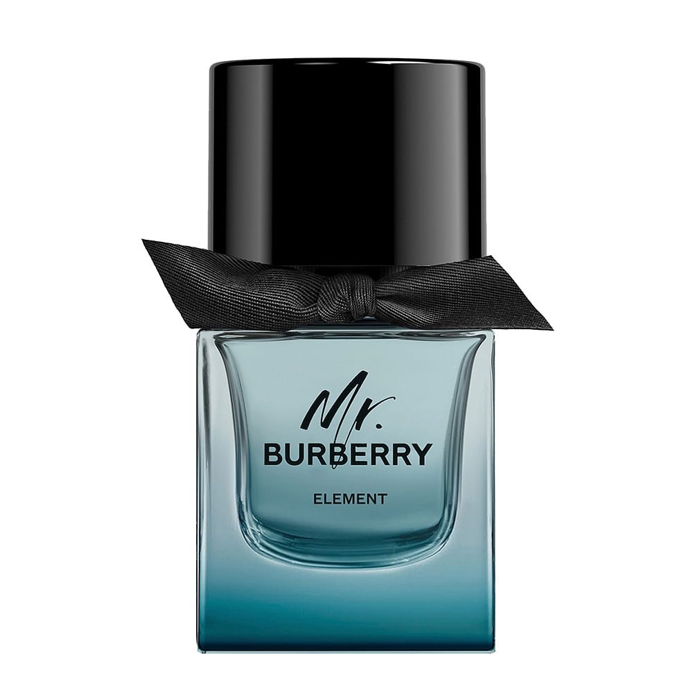 Mr. Burberry Element Eau De Toilette • NA