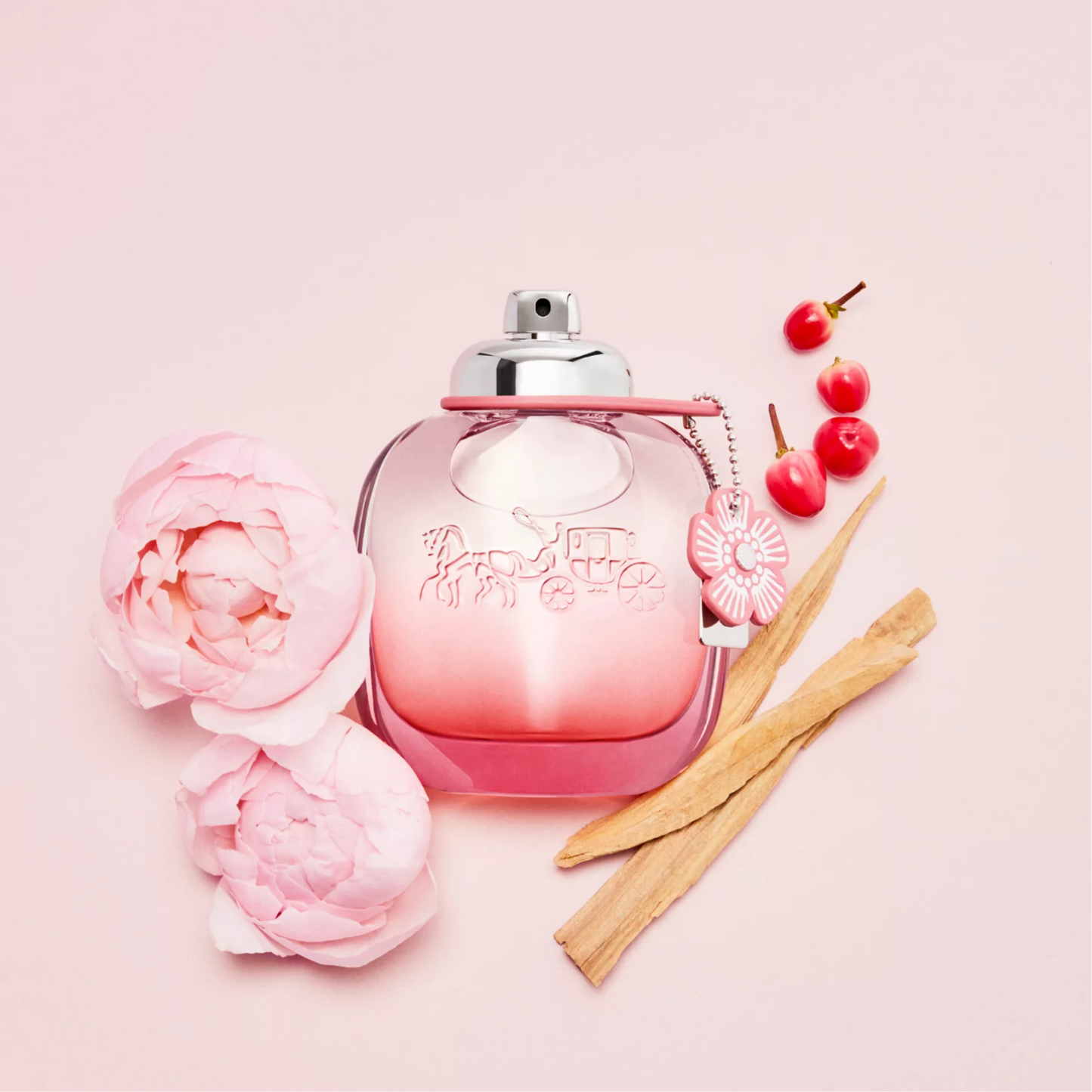 Coach Floral Blush Eau de Parfum for Women — image 2