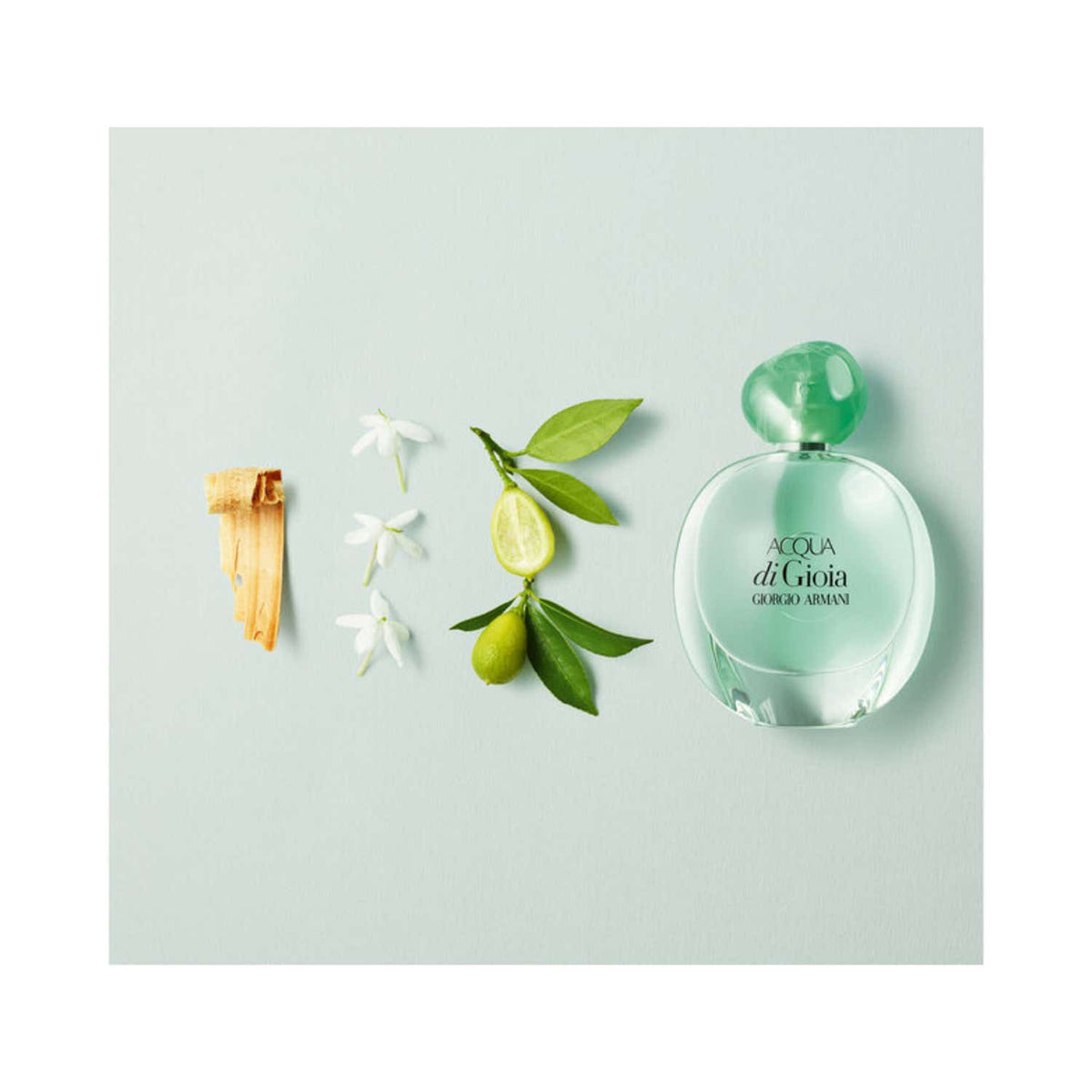 Giorgio Armani Acqua Di Gioia Eau De Parfum (50ml)