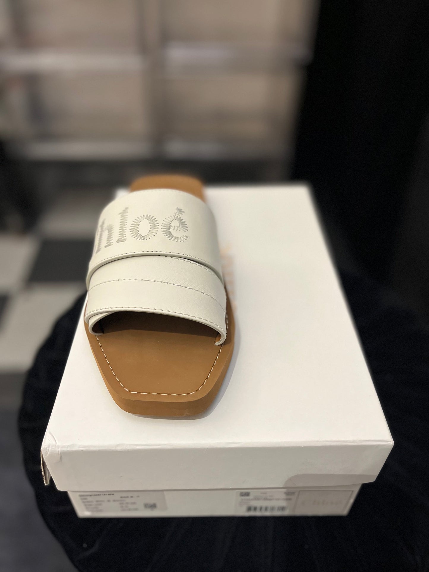 Chloe Slides
