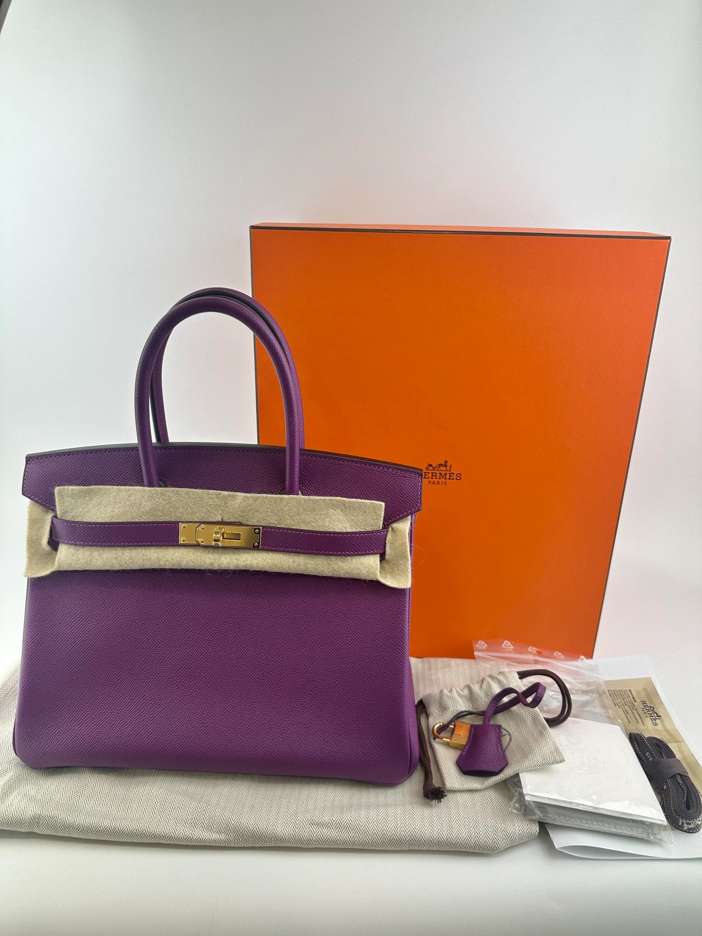 Hermès Birkin 25 in Anemone Epsom Leather with Gold Hardware (GHW)