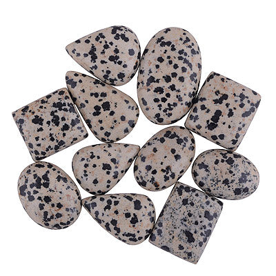 11 Pcs Natural Dalmatian Jasper Standard Quality Cabochon Gemstones Free Size Lot - RS30900184-19