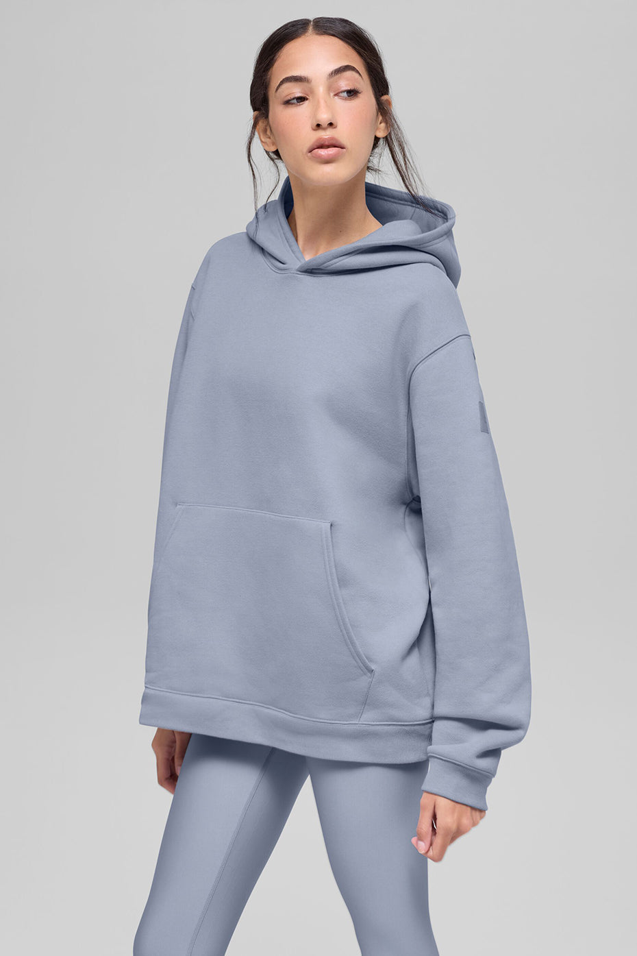 Renown Heavy Weight Hoodie - Winter Frost (U3013R)
