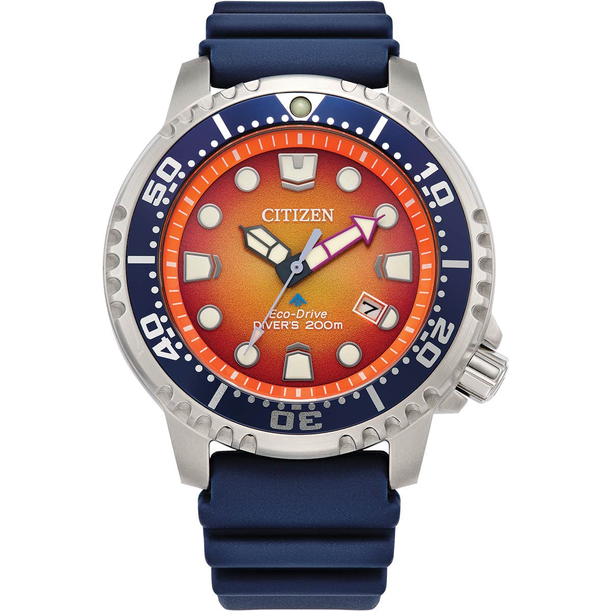 Promaster Diver (BN0169-03X)