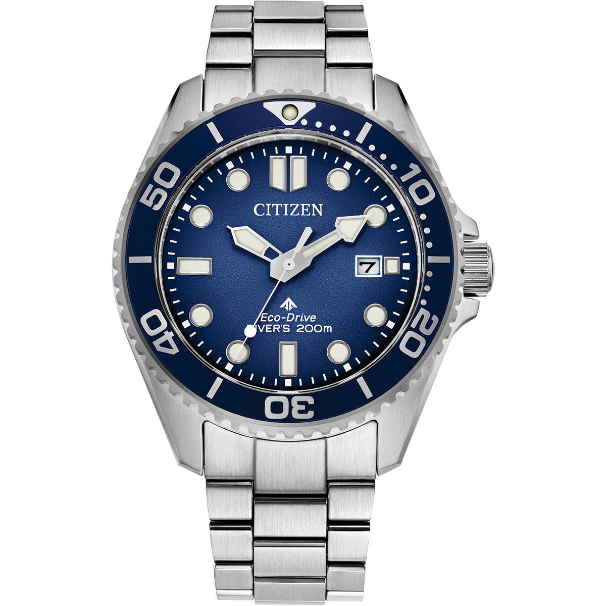Promaster Diver (BN0260-54L)