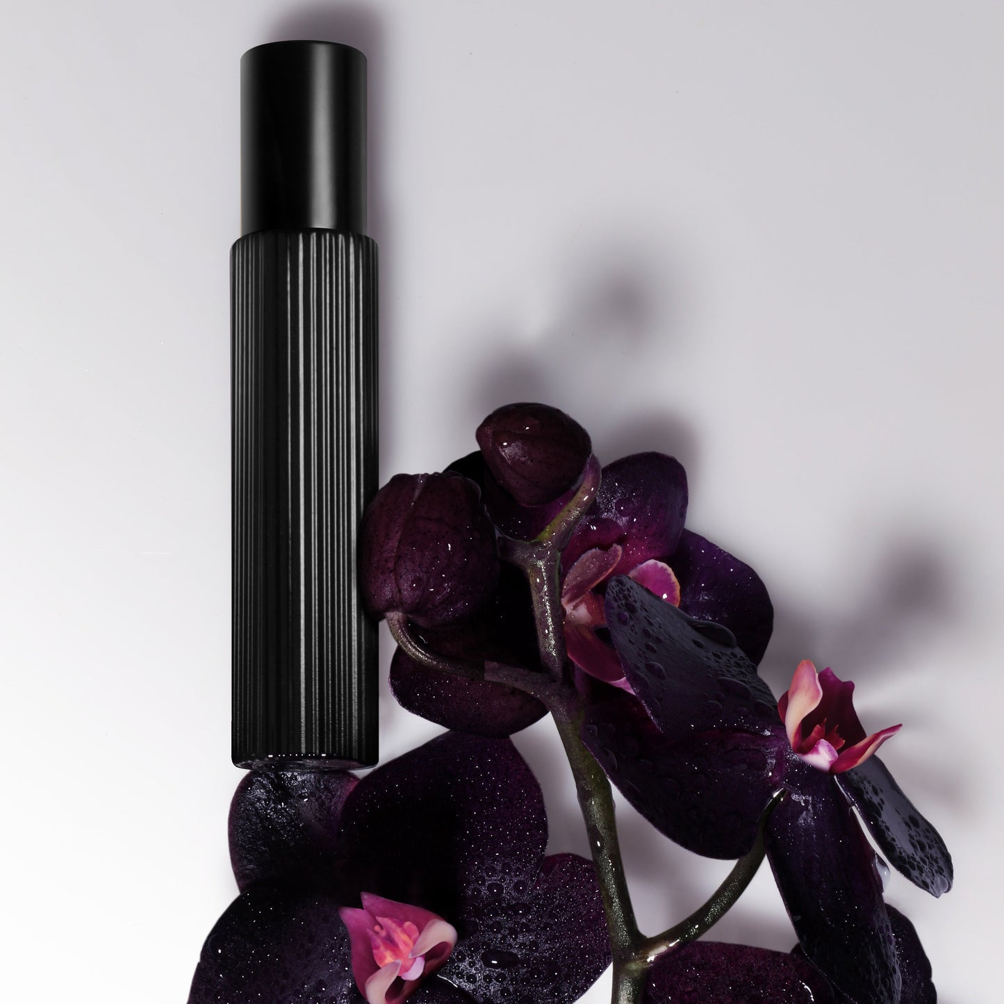 Tom Ford Black Orchid Eau de Parfum Set, Alt | TF Beauty India
