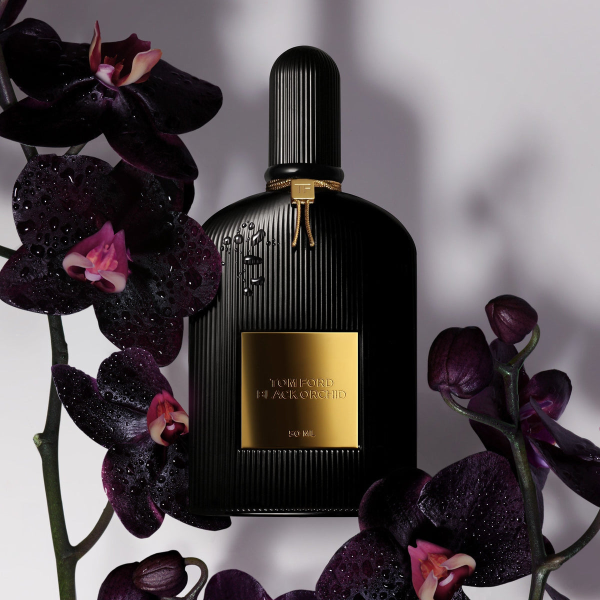 Tom Ford Black Orchid Eau de Parfum, 150.0 ml, Alt | TF Beauty India