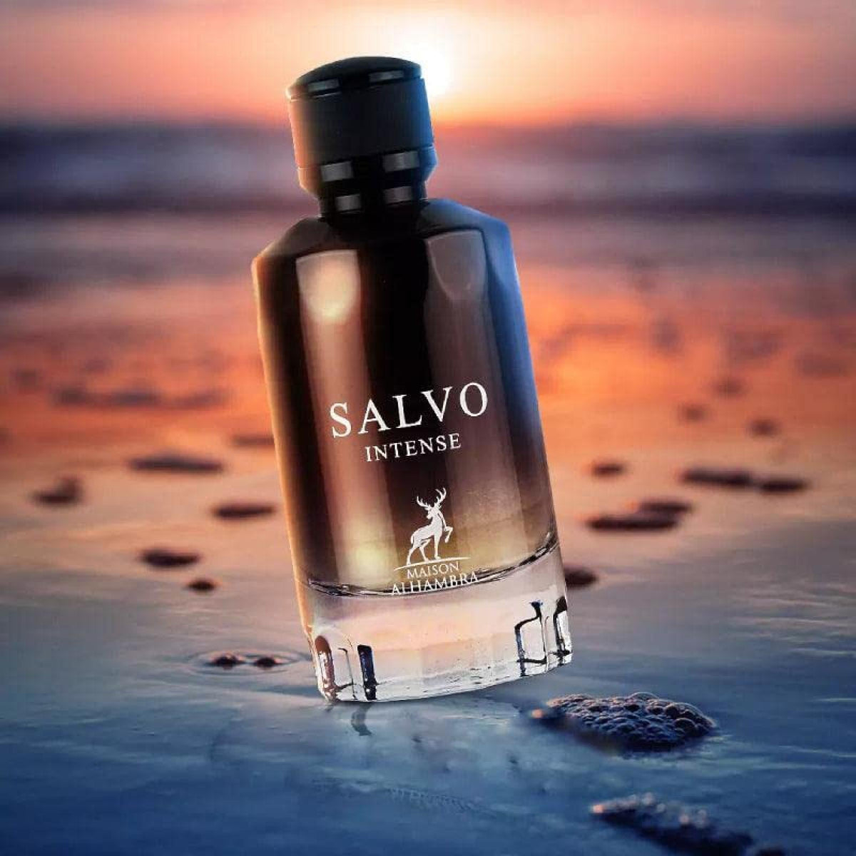 Maison Alhambra Salvo Intense Eau de Parfum for Men 100 ML