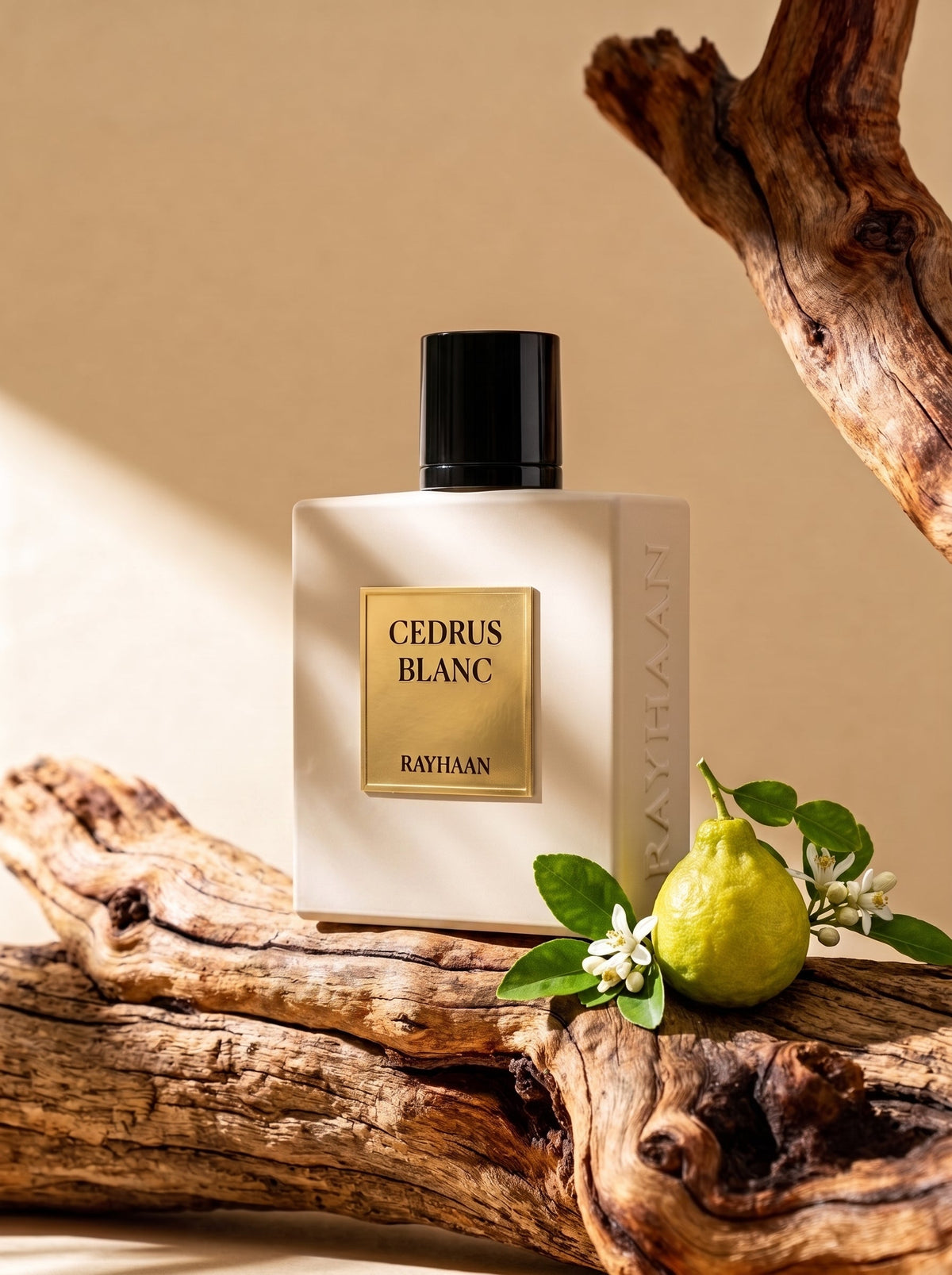Rayhaan Cedrus Blanc 100 ML official product image 4