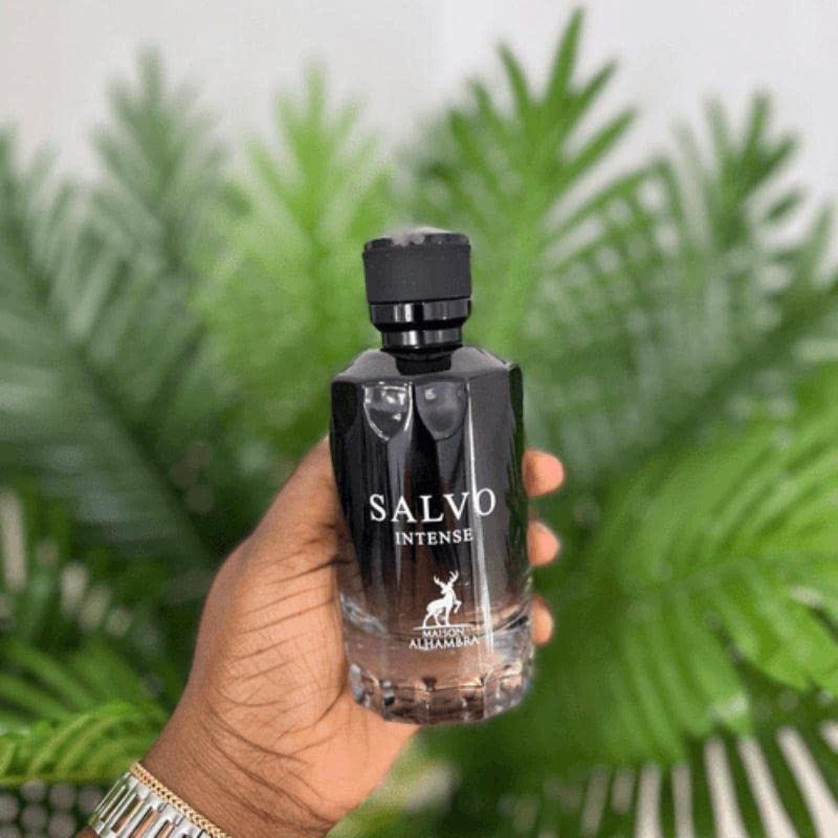 Maison Alhambra Salvo Intense Eau de Parfum for Men 100 ML