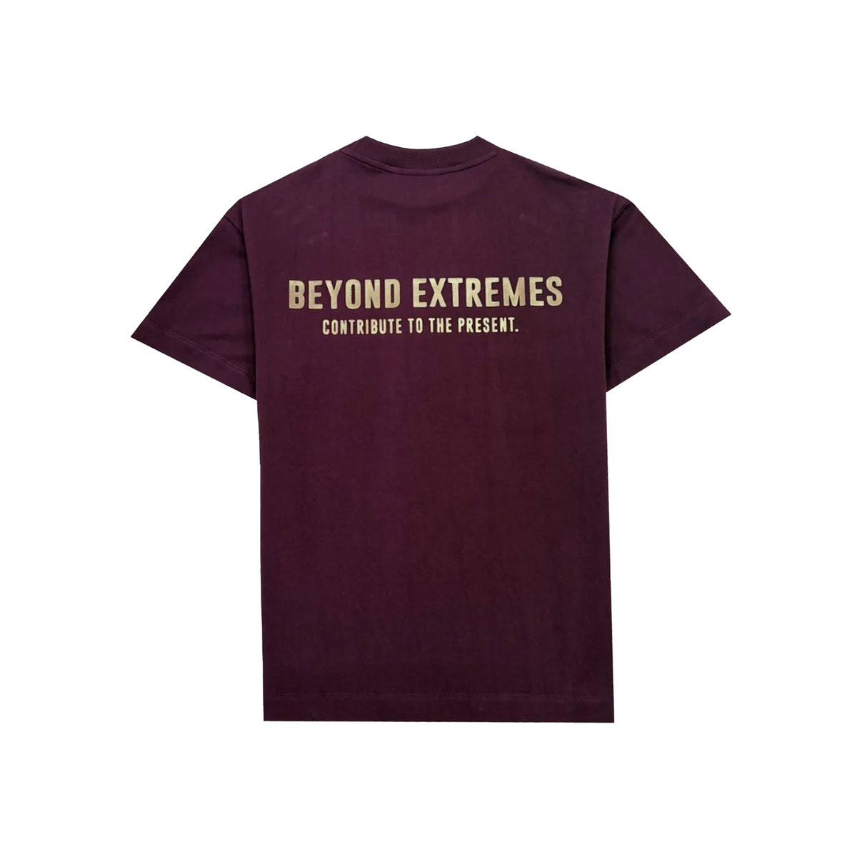 3 T-shirt in Wine [Unisex] by Beyond Extremes