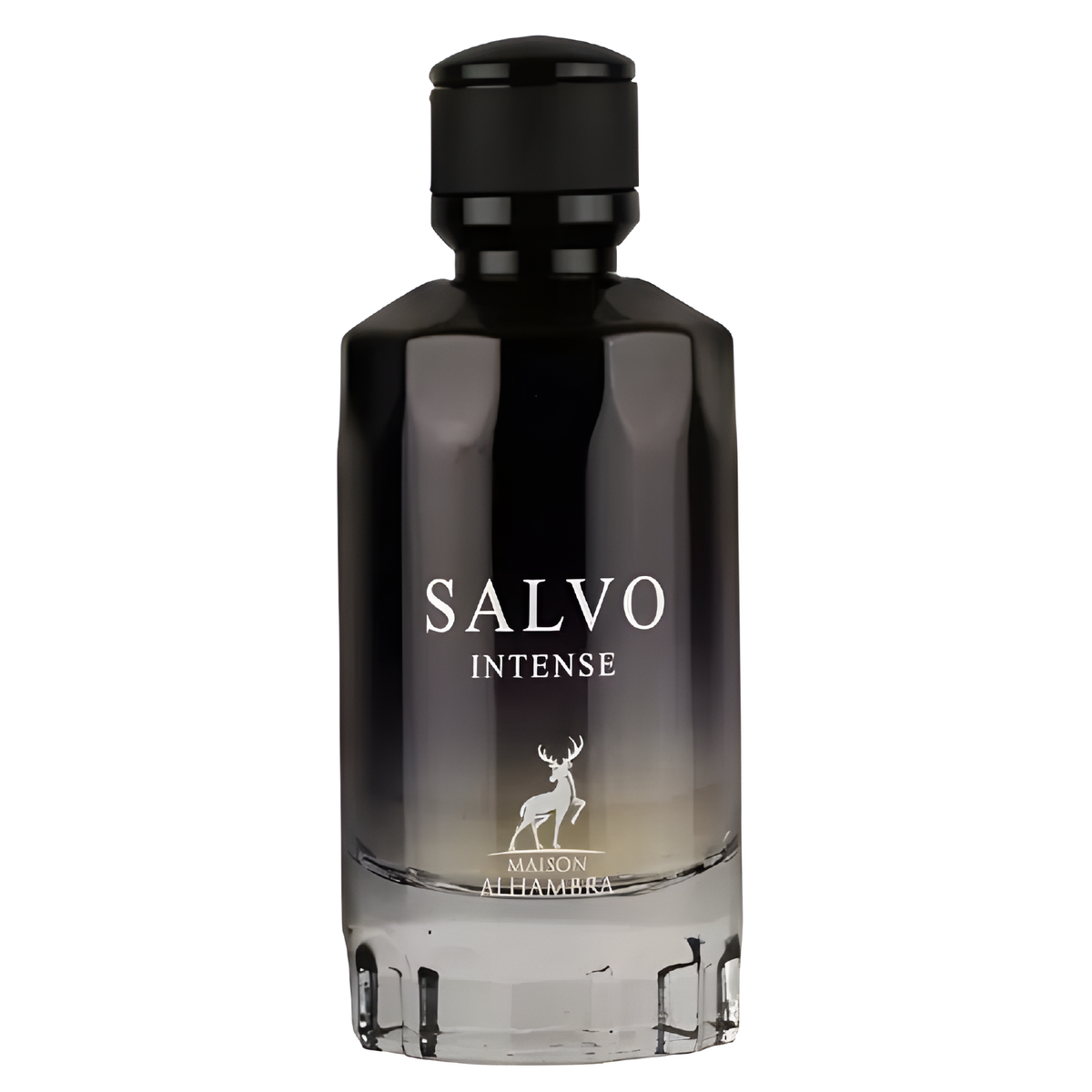 Maison Alhambra Salvo Intense Eau de Parfum for Men 100 ML