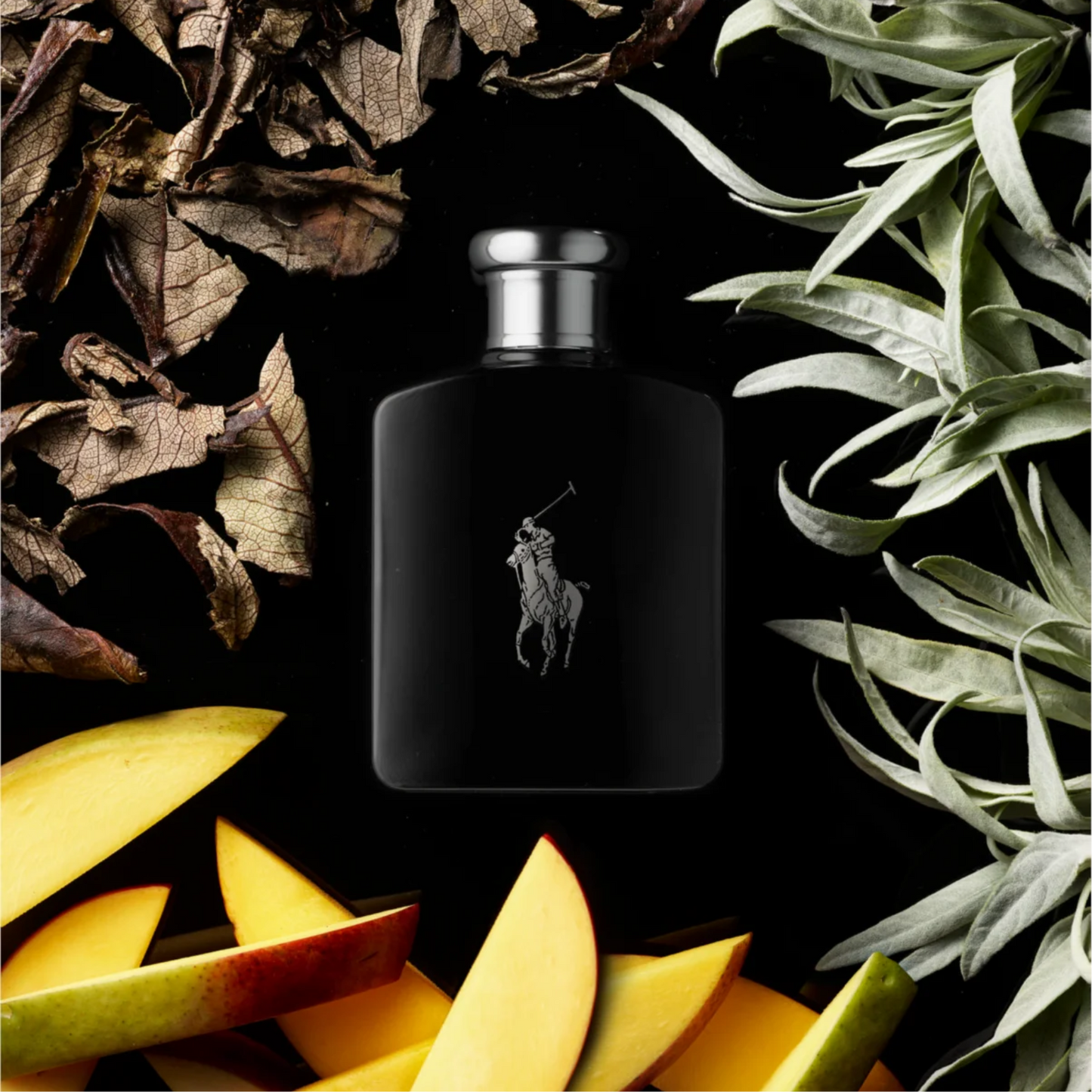 Ralph Lauren Polo Black Eau de Toilette for Men — image 1