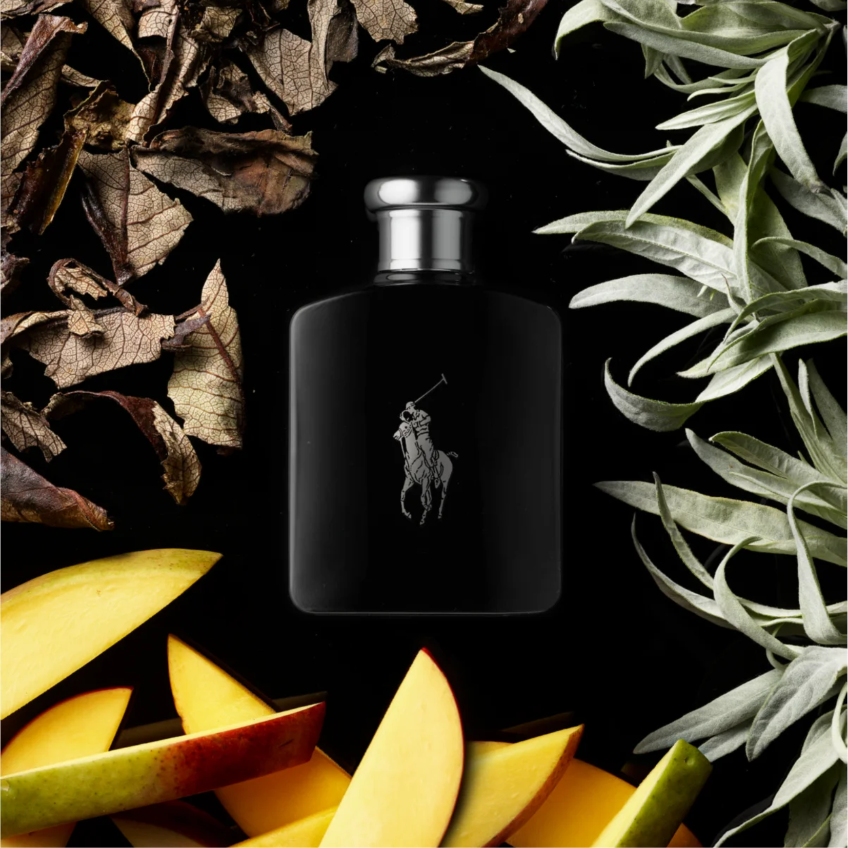 Ralph Lauren Polo Black Eau de Toilette for Men — image 1