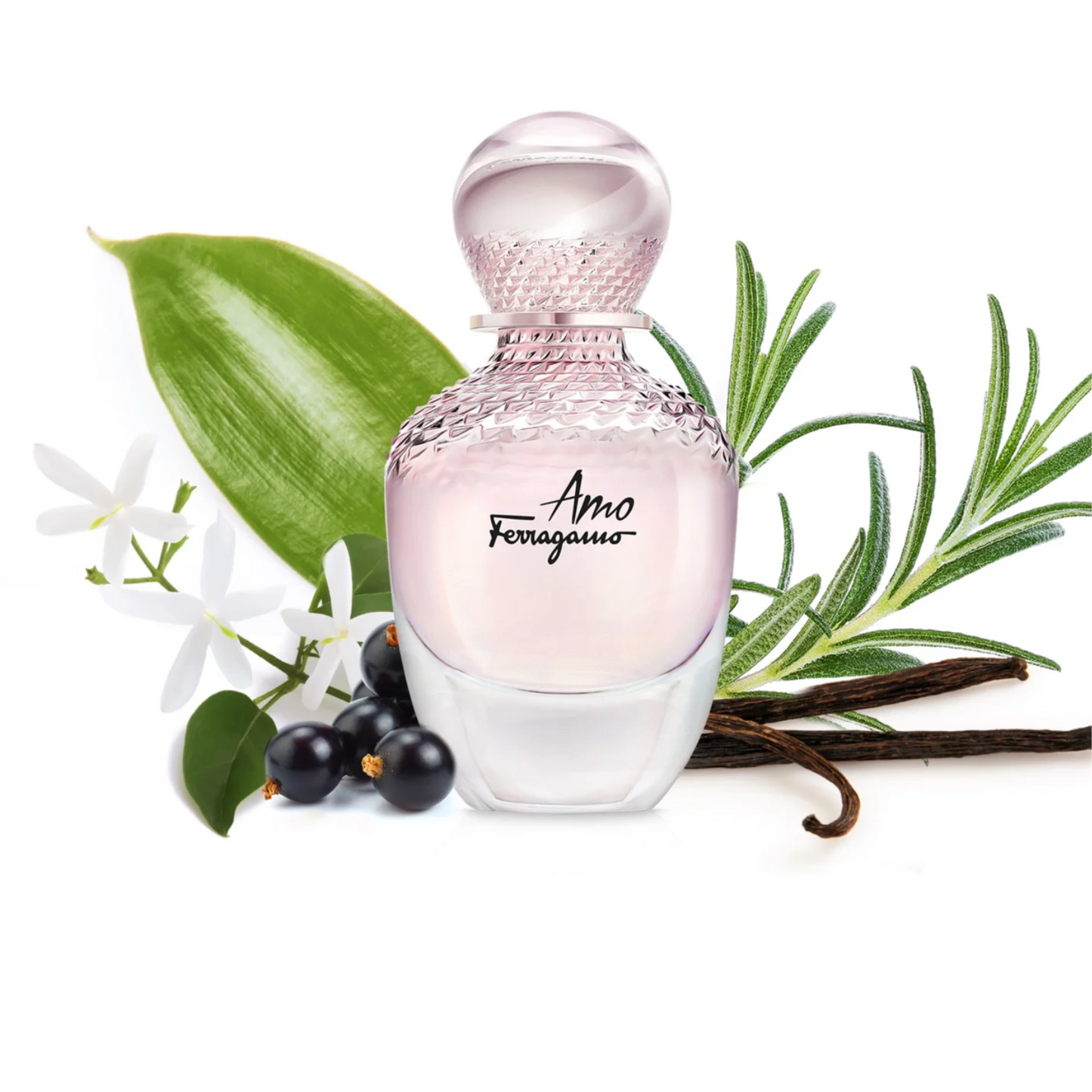Salvatore Ferragamo Amo Eau de Parfum for Women — image 2