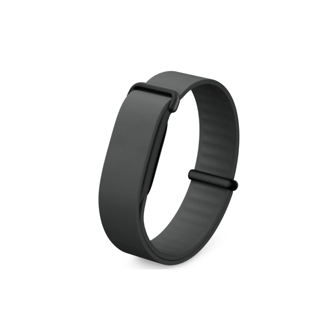 GOOGLE FITBIT AIR ELEVATED MODERN BAND by fitbit