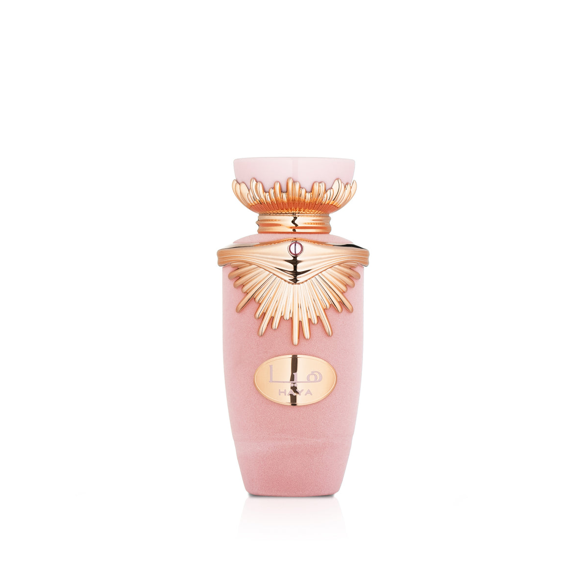 Lattafa Haya 100 ML