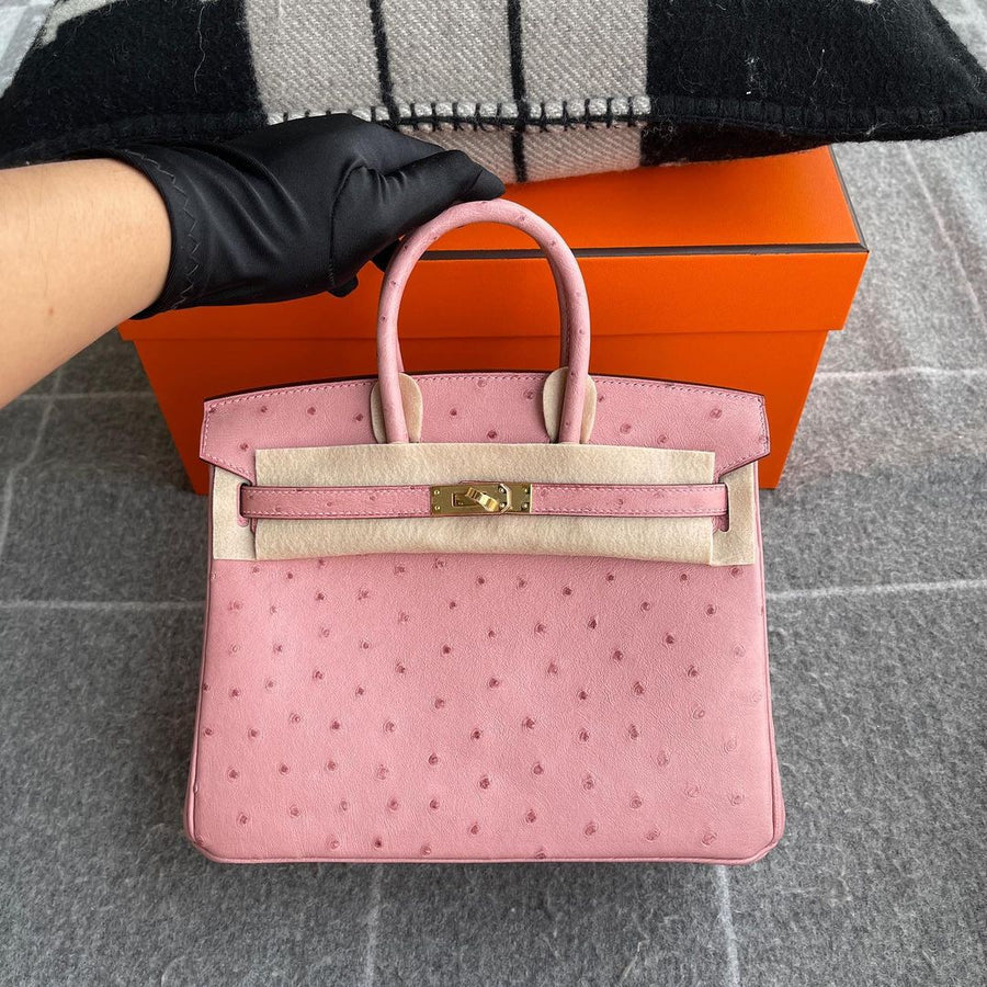 Hermès Birkin 25 – Terre Cuite Ostrich Leather with Gold Hardware (GHW) - Zeuskicks