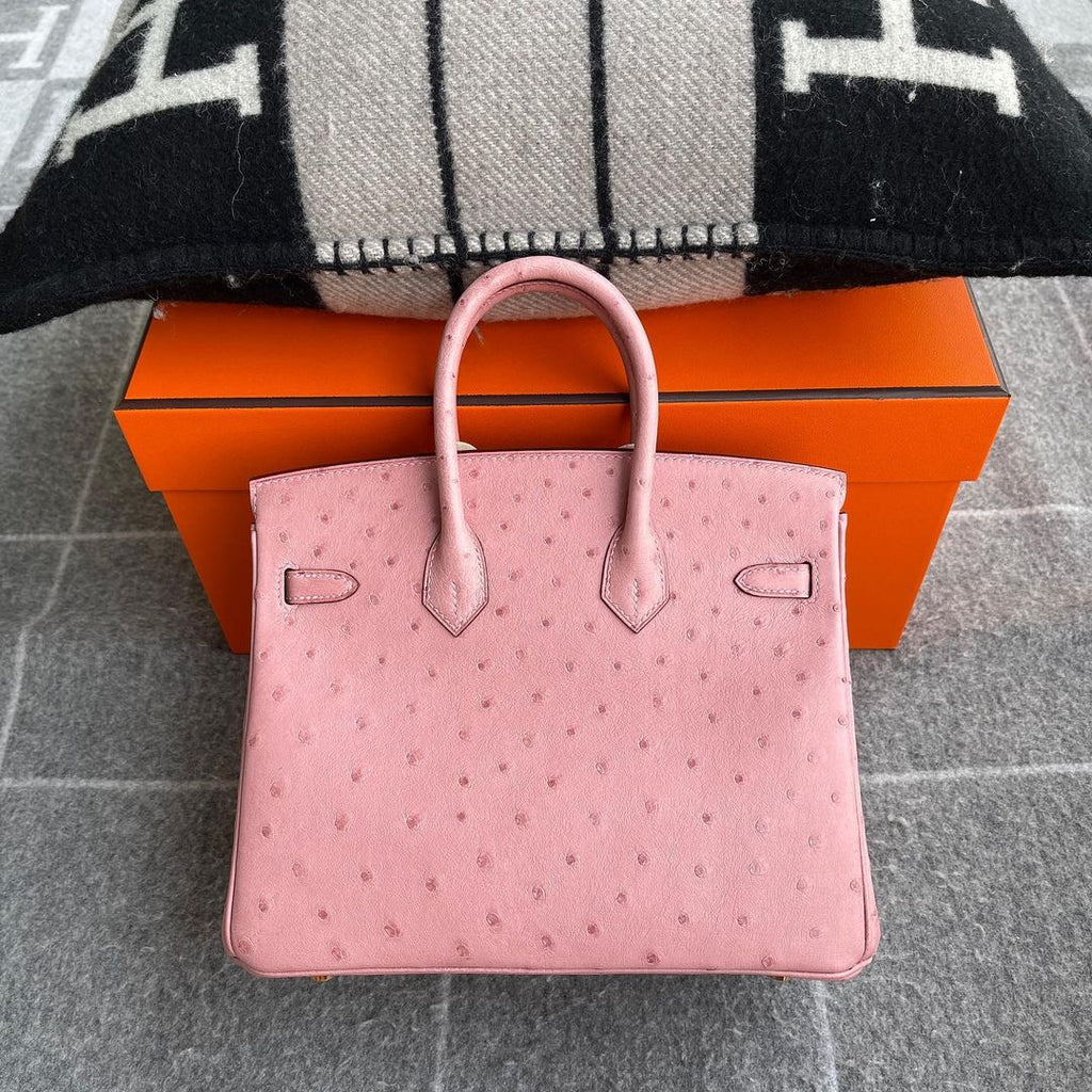 Hermès Birkin 25 – Terre Cuite Ostrich Leather with Gold Hardware (GHW) - Zeuskicks