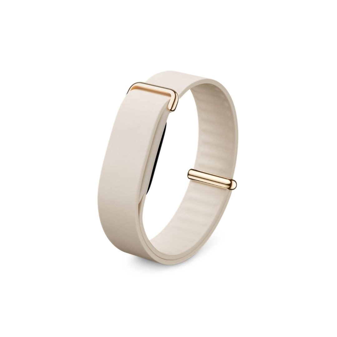 GOOGLE FITBIT AIR ELEVATED MODERN BAND by fitbit
