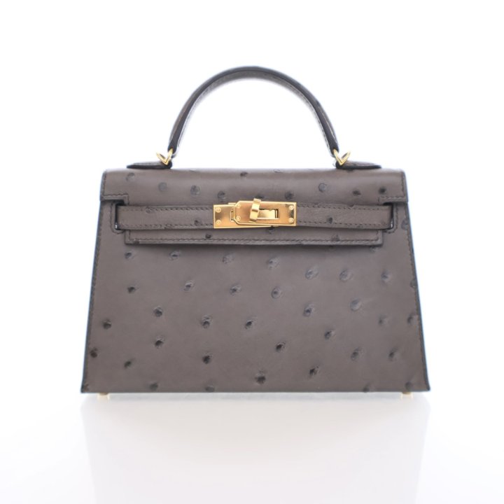 Hermès Mini Kelly 20 – Graphite Ostrich Leather with Gold Hardware (2020 Y Stamp) - Zeuskicks