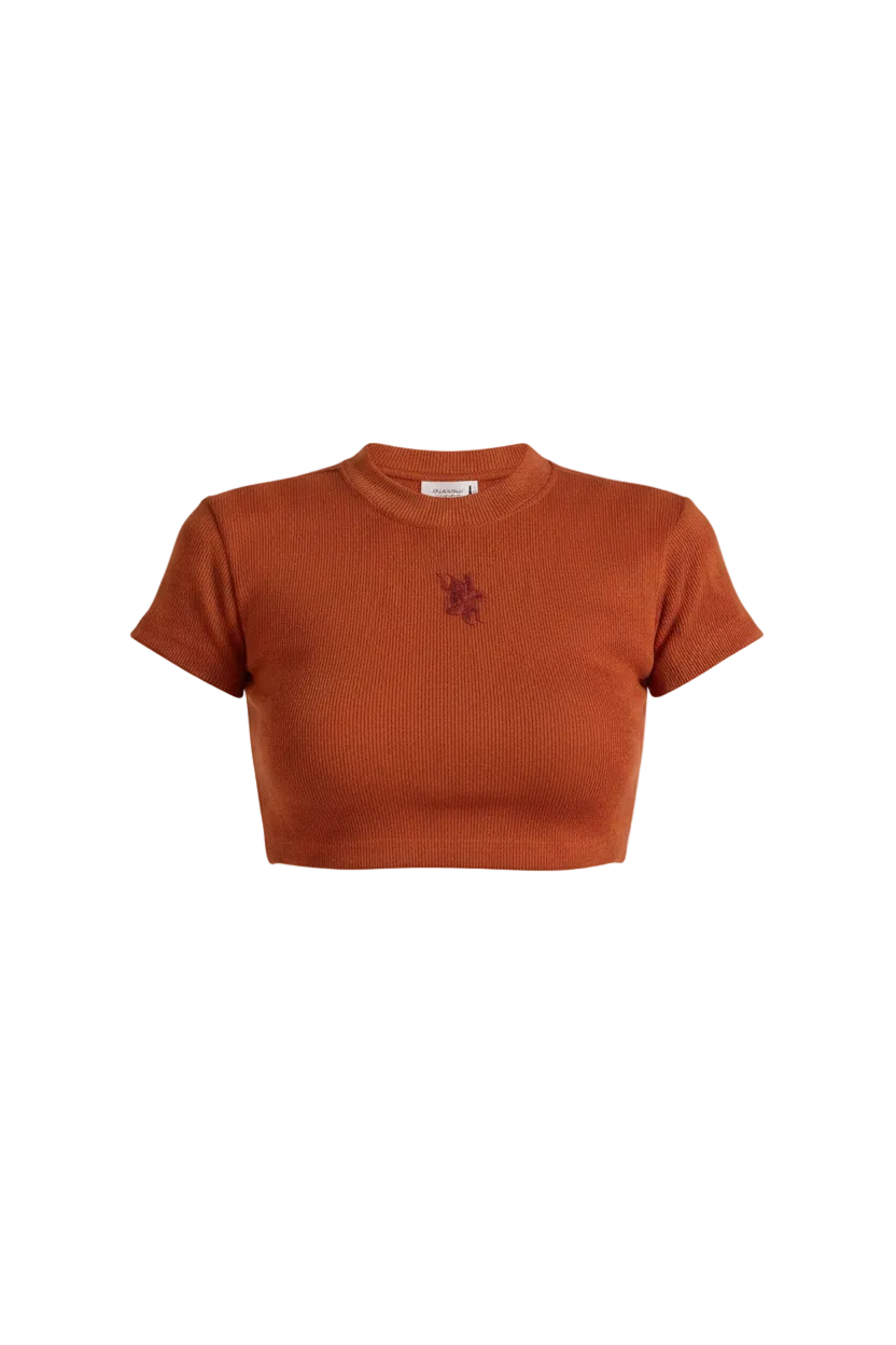 Basics Women's Red Crop T-shirt by FARAK