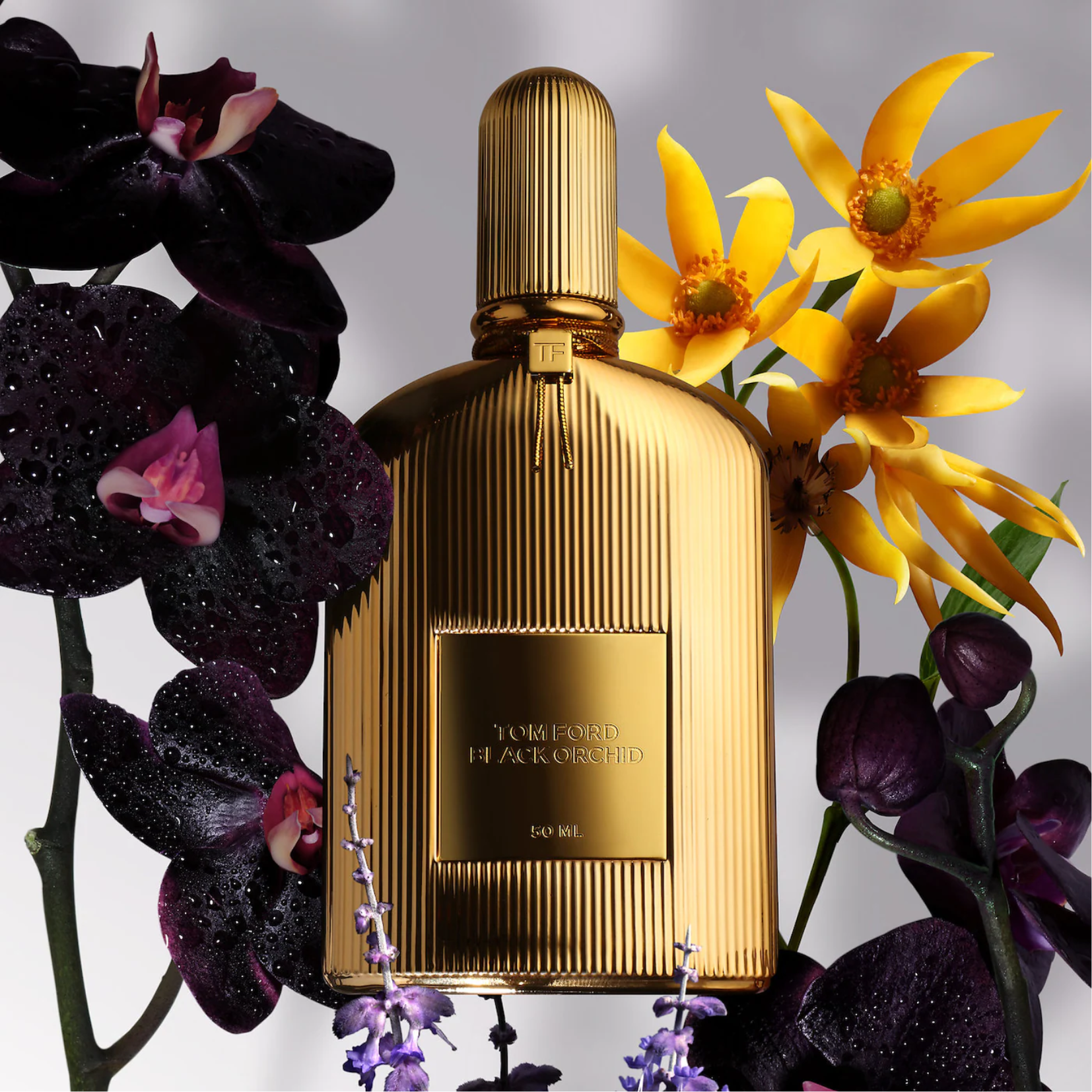 Tom Ford Black Orchid Parfum for Unisex — image 1