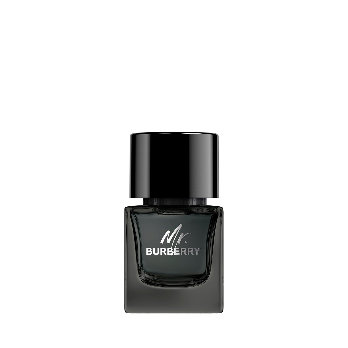 Mr. Burberry Eau De Parfum • 100ml