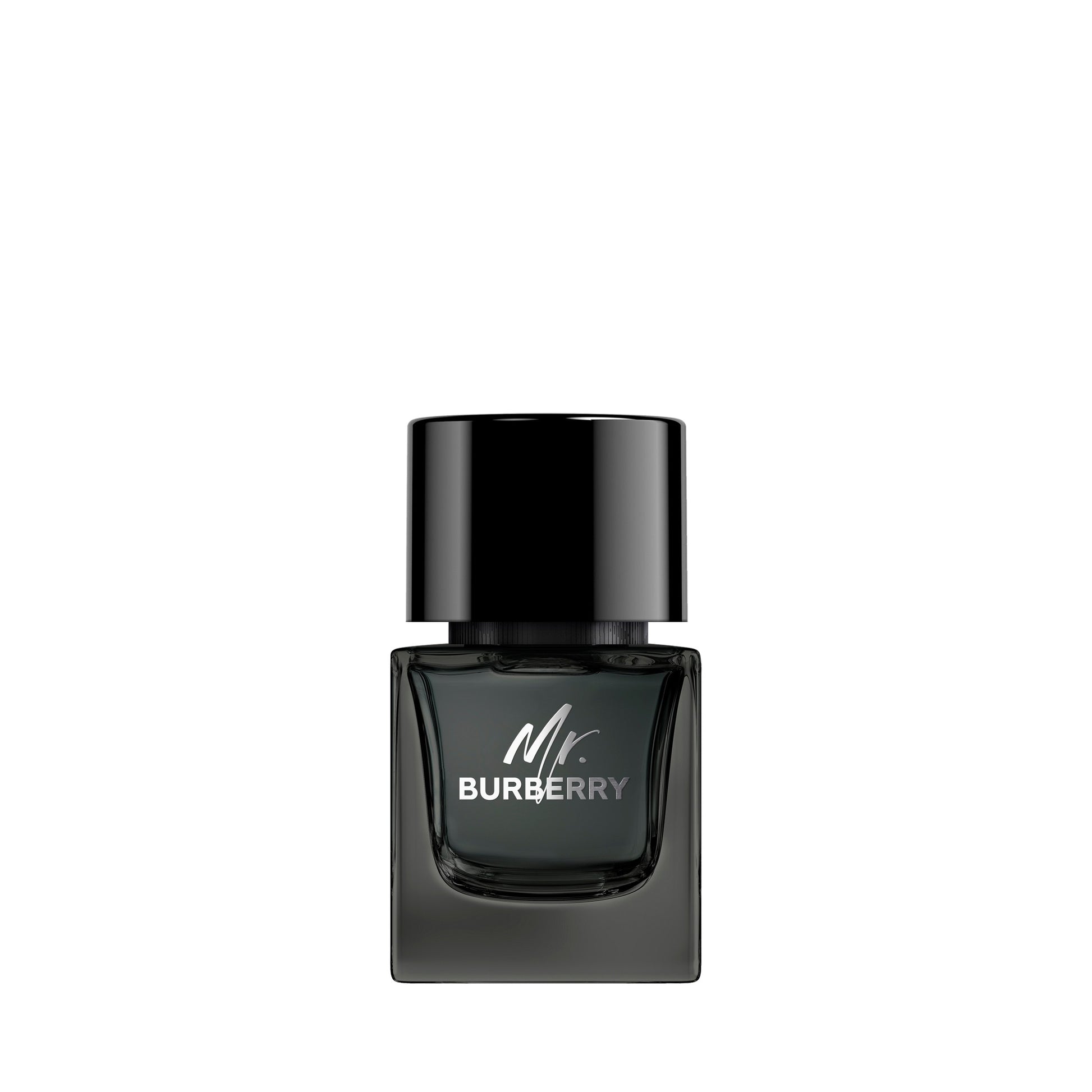 Mr. Burberry Eau De Parfum • 100ml