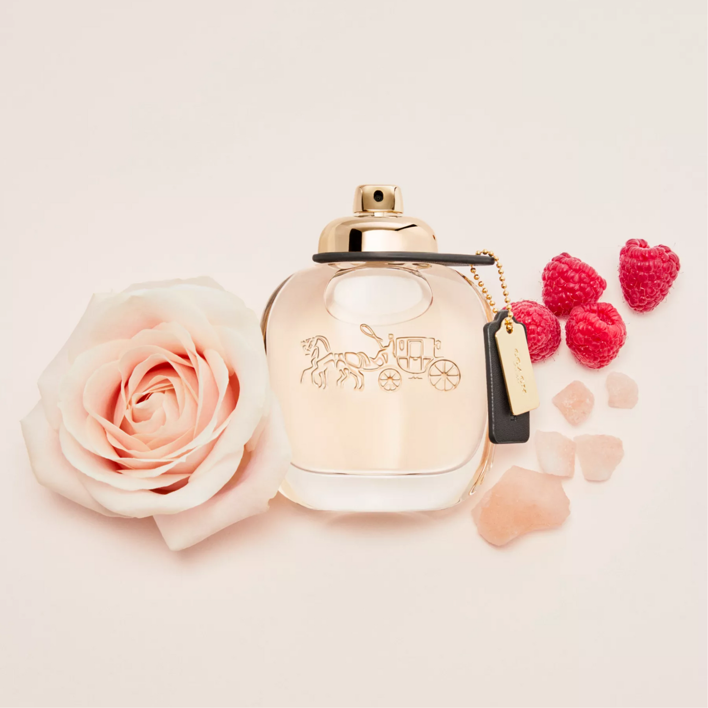 Coach Woman Eau de Parfum for Women — image 2