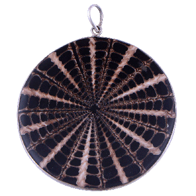 Shell 925 Sterling Silver Pendant - R100400-49
