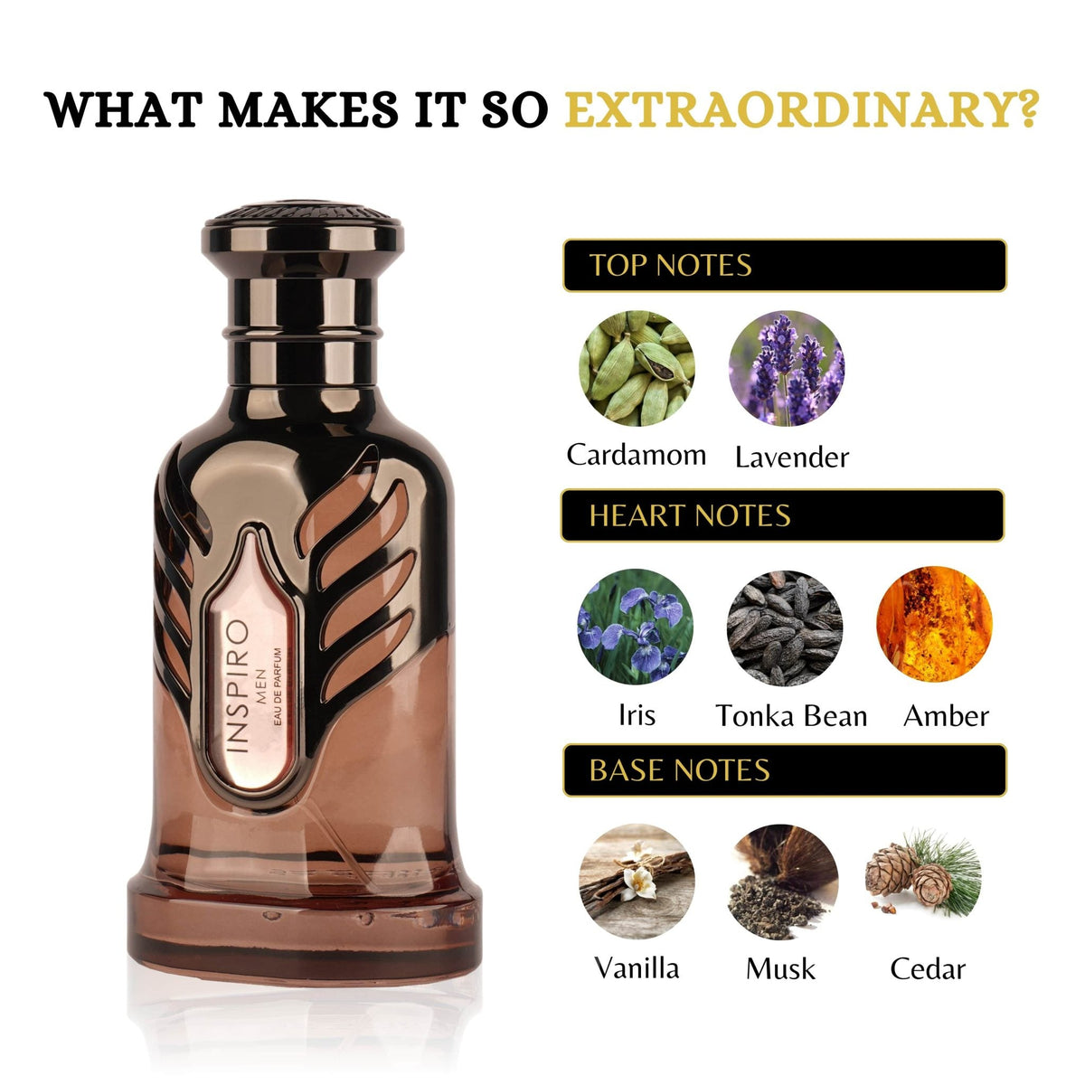 RiiFFS INSPIRO MEN 100 ML perfume official product image 4