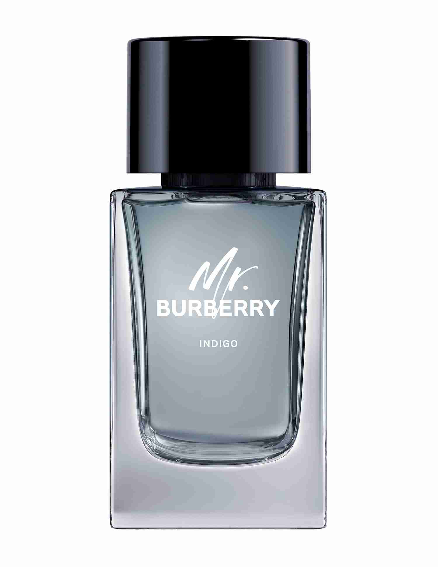 Mr. Burberry Indigo Eau De Toilette • 100ml
