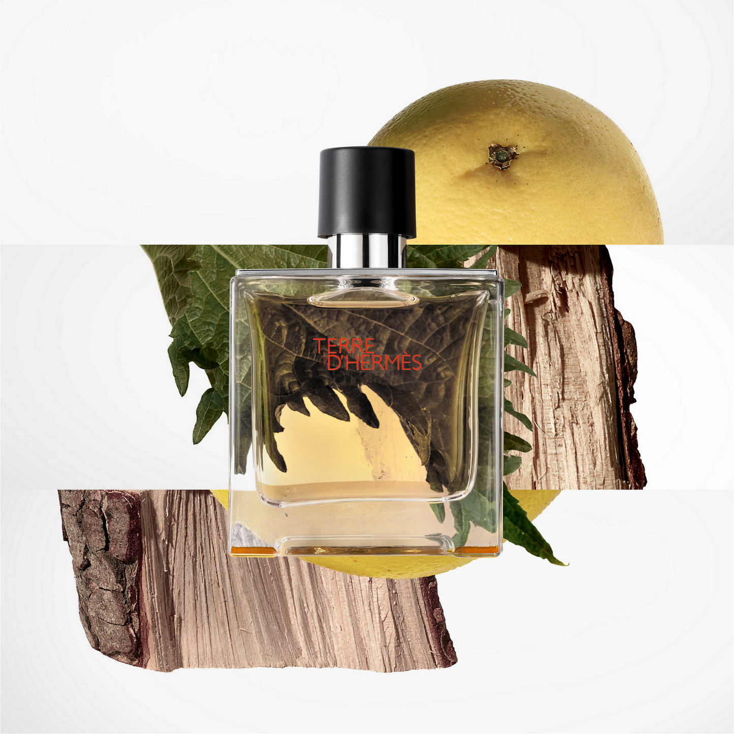Hermes Terre de Hermes Eau de Toilette for Men — image 1