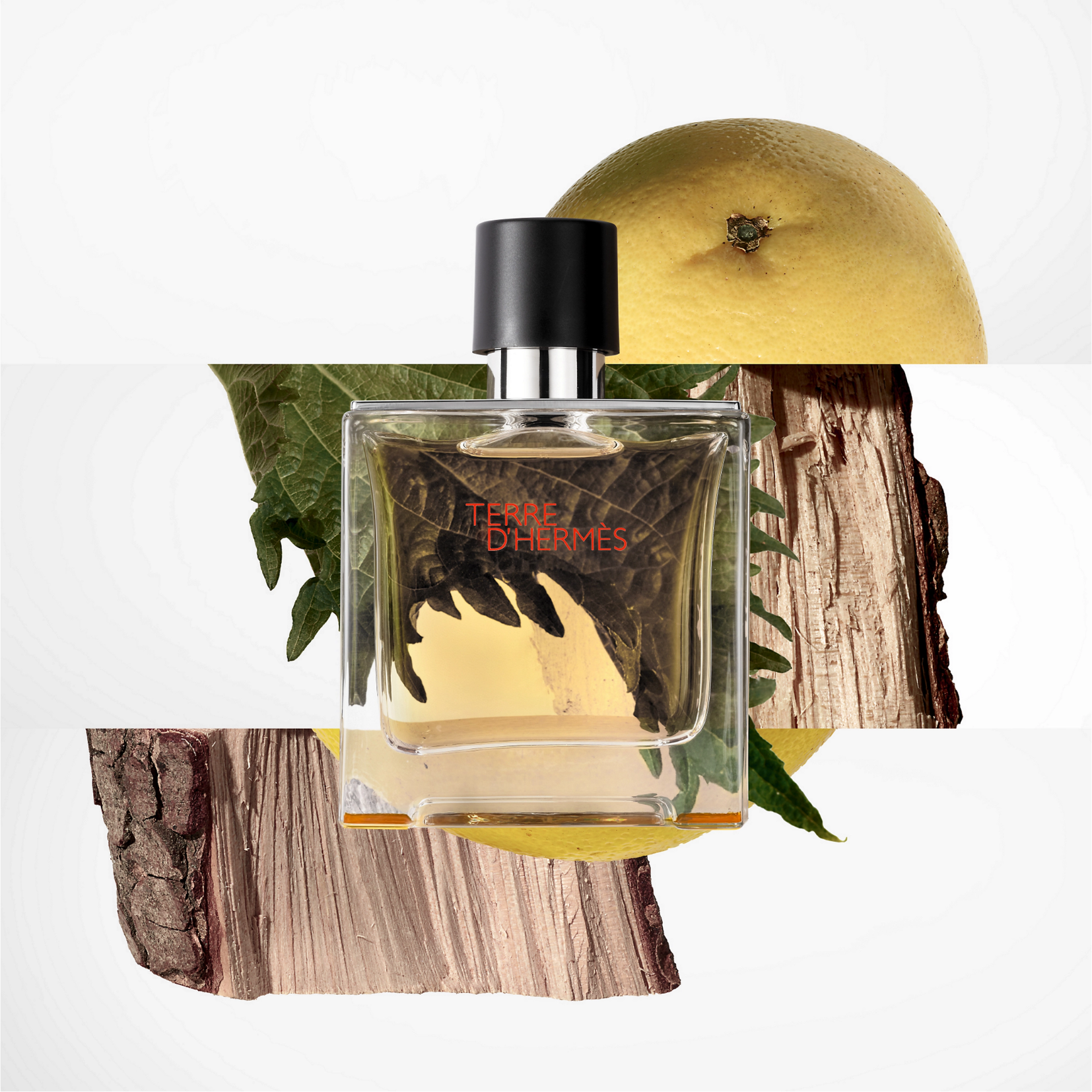 Hermes Terre de Hermes Eau de Toilette for Men — image 1