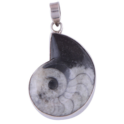 Orthoceras 925 Sterling Silver Pendant - R100214-12