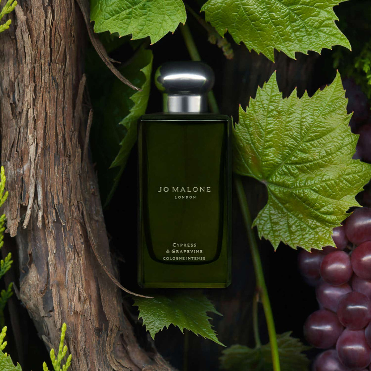 Jo Malone London Cypress & Grapevine Cologne (50ml)