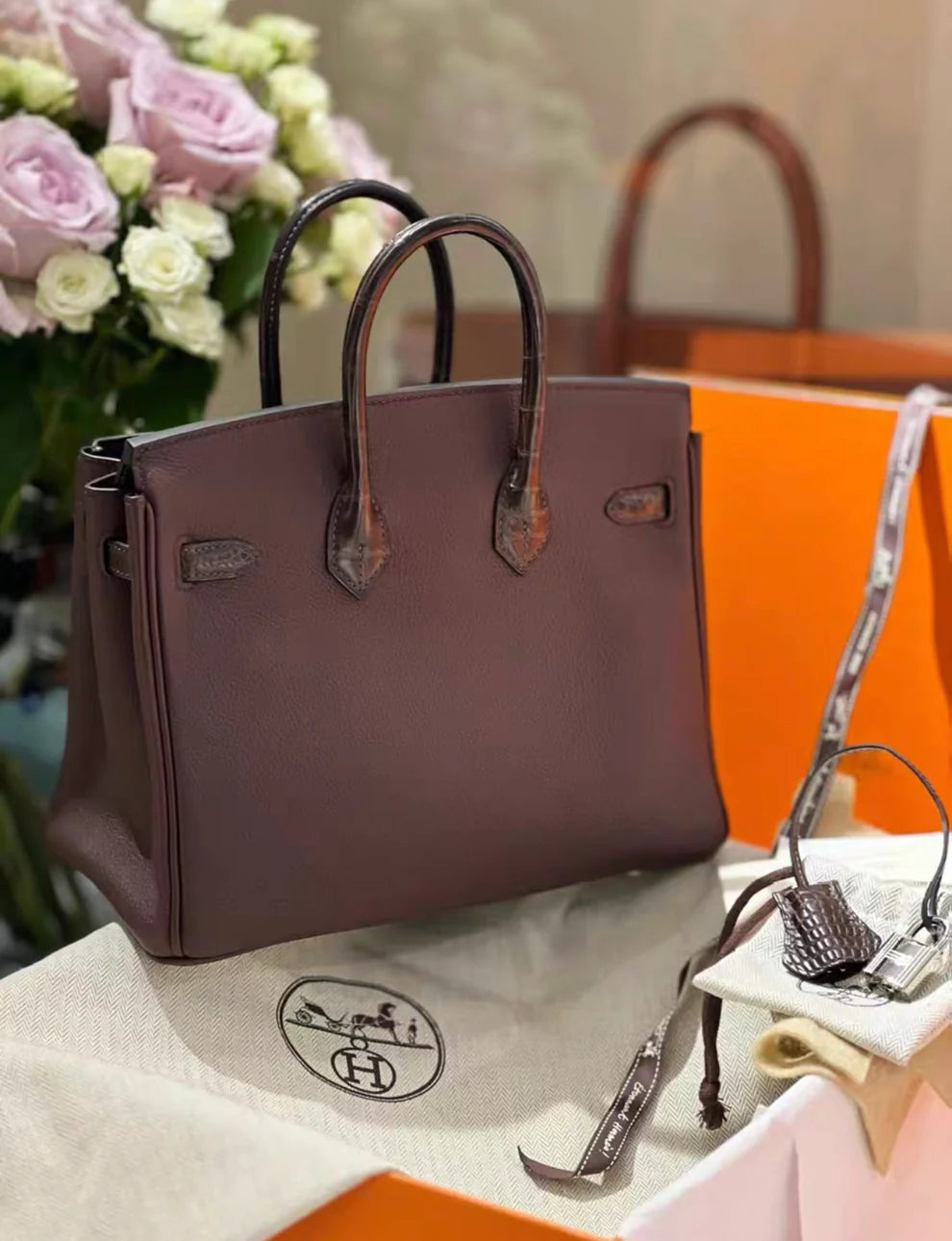 Hermès Birkin Touch 25 – Togo Alligator with Matte Palladium Hardware