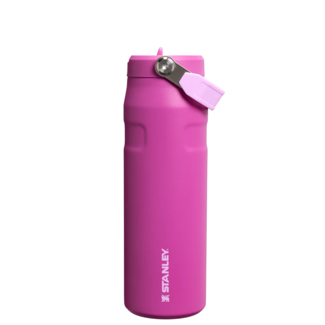 STANLEY Tumbler Mug IceFlow Flip Straw 24 Oz by STANLEY