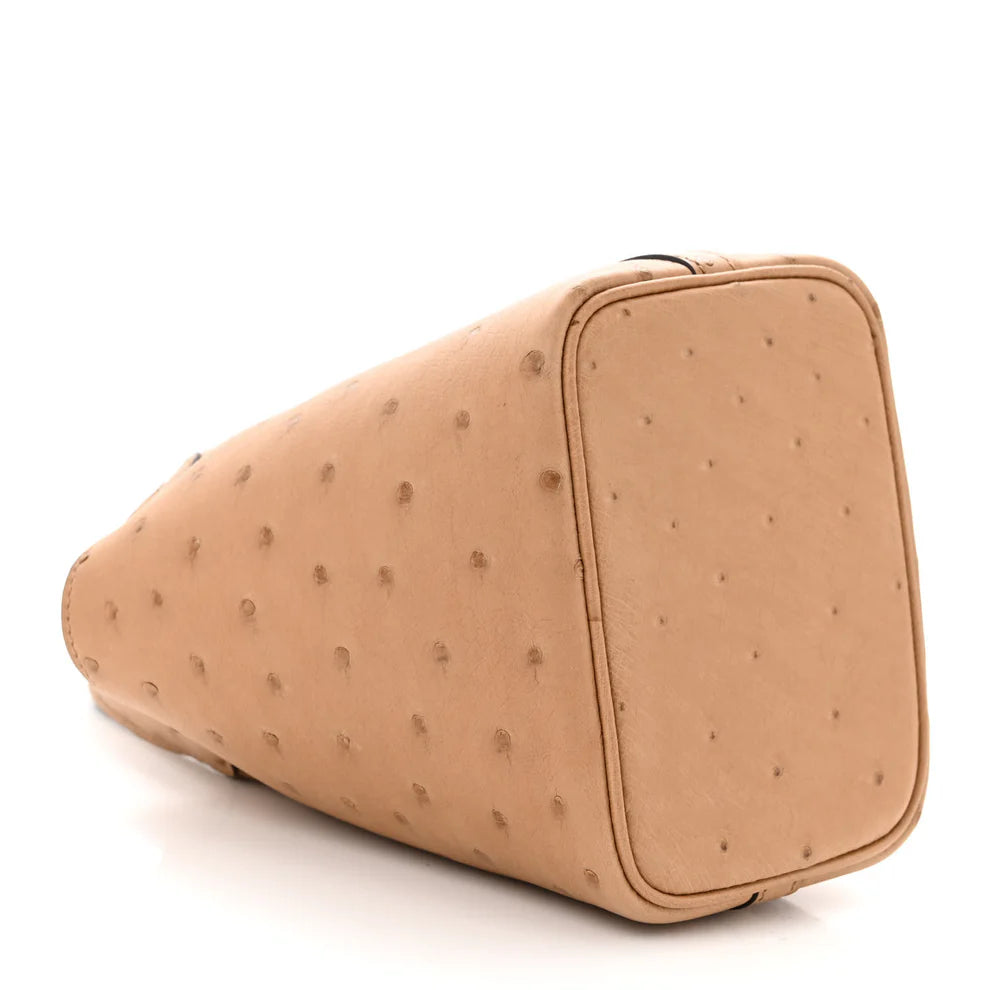 Hermès Micro Picotin Lock – Ostrich Leather in Chai - Zeuskicks