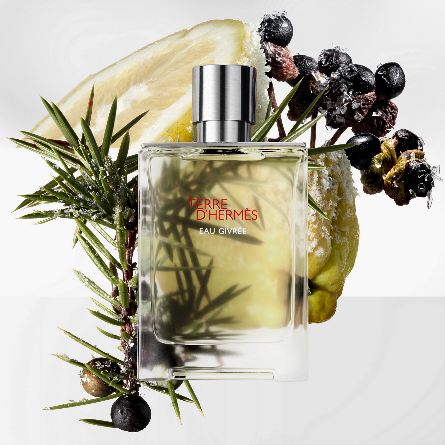 HERMÈS Terre d’Hermès Eau Givrée Eau de Parfum for Men — image 1