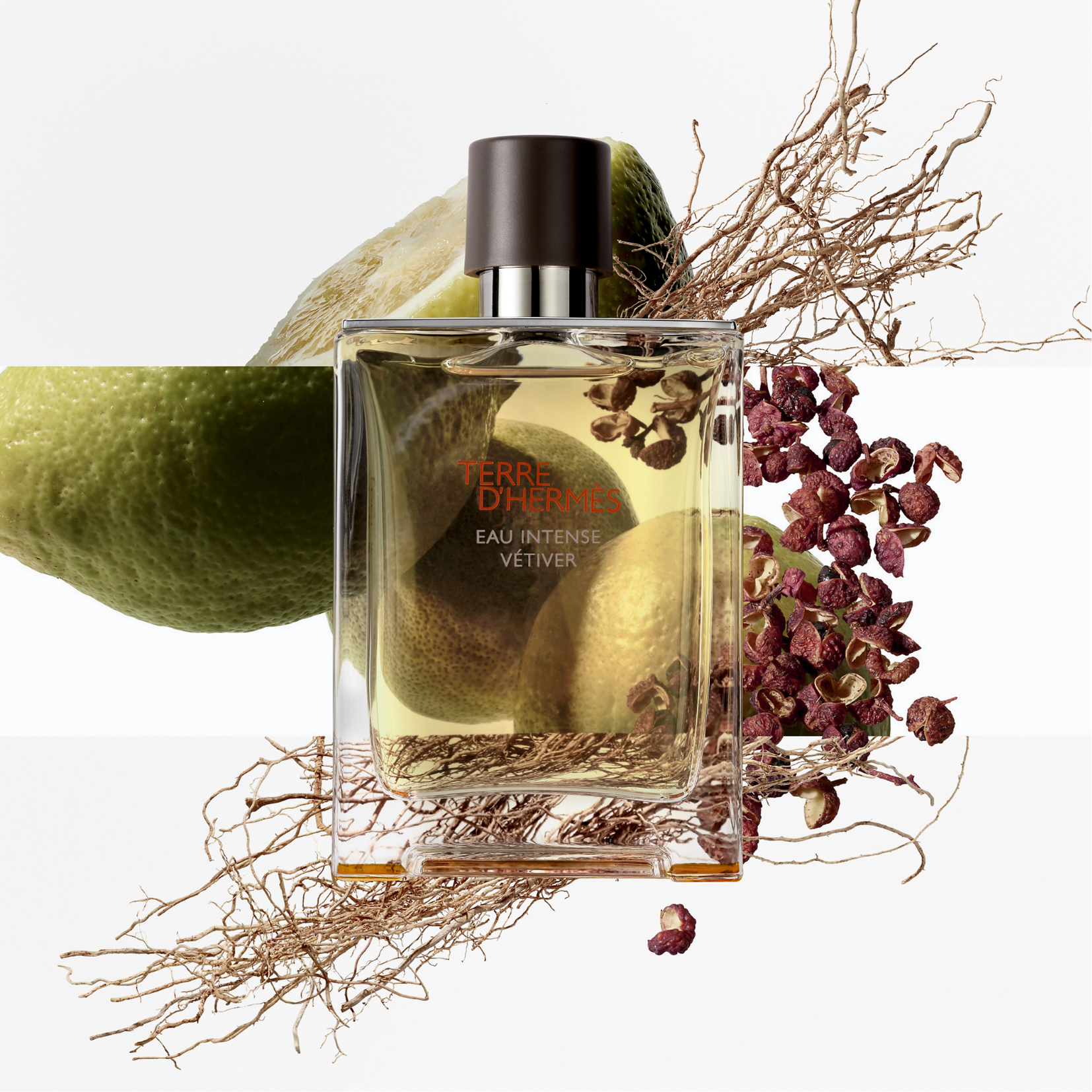 HERMES Terre de Hermes Eau Intense Vétiver Eau de Parfum for Men — image 1