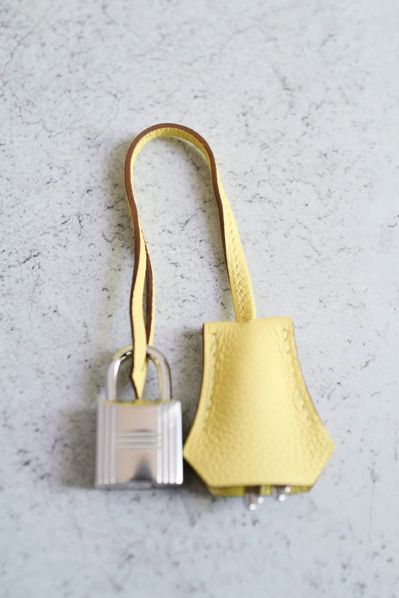 Hermès Birkin 25 – Jaune Poussin Togo Leather with Palladium Hardware