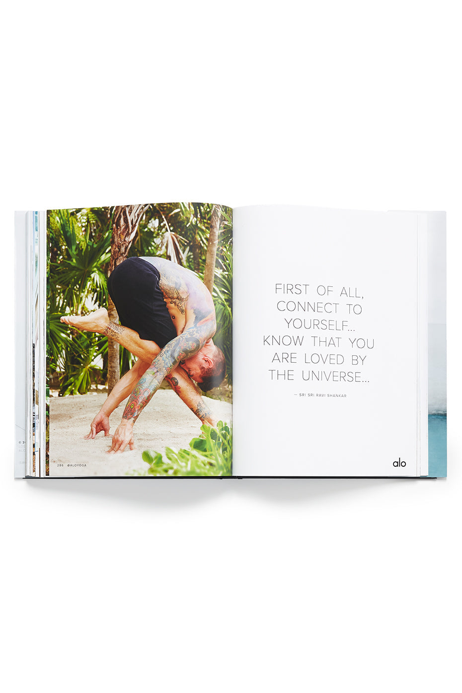 Alo Yoga Mindful Movement, a book by ALO, product image 9 of 9