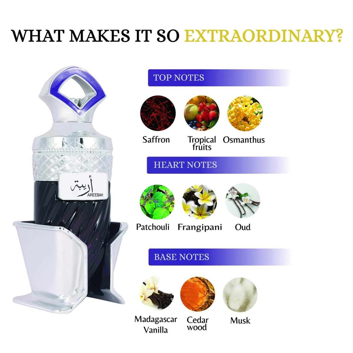 RiiFFS AREEBAH 100 ML perfume official product image 5