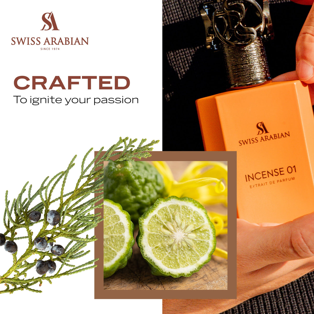 Swiss Arabian INCENSE 01 product image 6