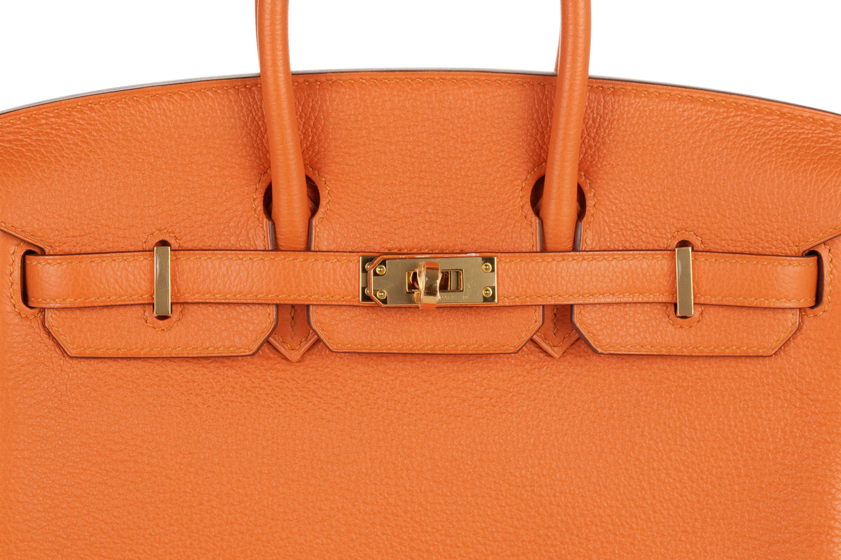 Hermès Birkin 25 Apricot Togo Gold Hardware - view 7