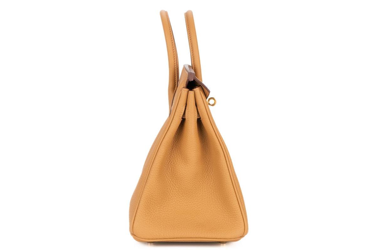 Hermès Birkin 25 Biscuit Togo Gold Hardware - view 5